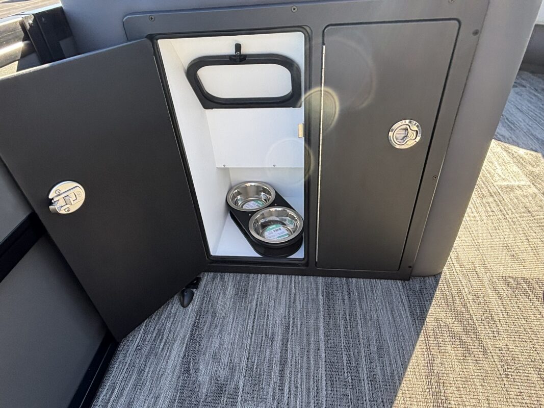 2026 Viaggio X22Q Demo