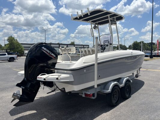 2021 Bayliner Element E21
