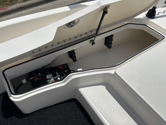 2021 Bayliner Element E21
