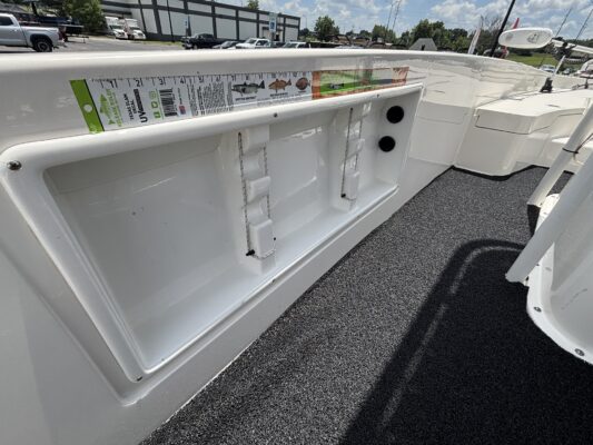 2021 Bayliner Element E21