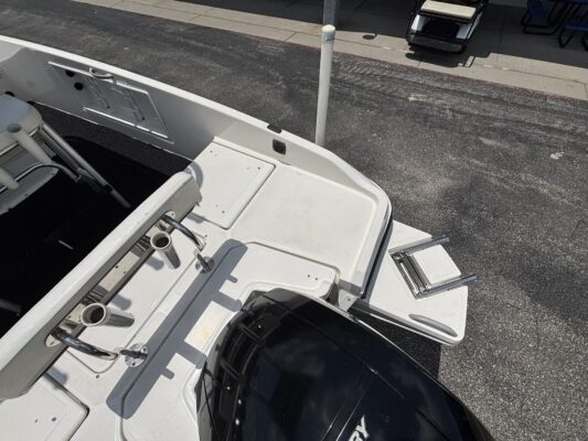 2021 Bayliner Element E21